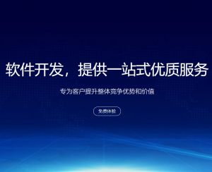 網(wǎng)絡(luò)貨運(yùn)2022版